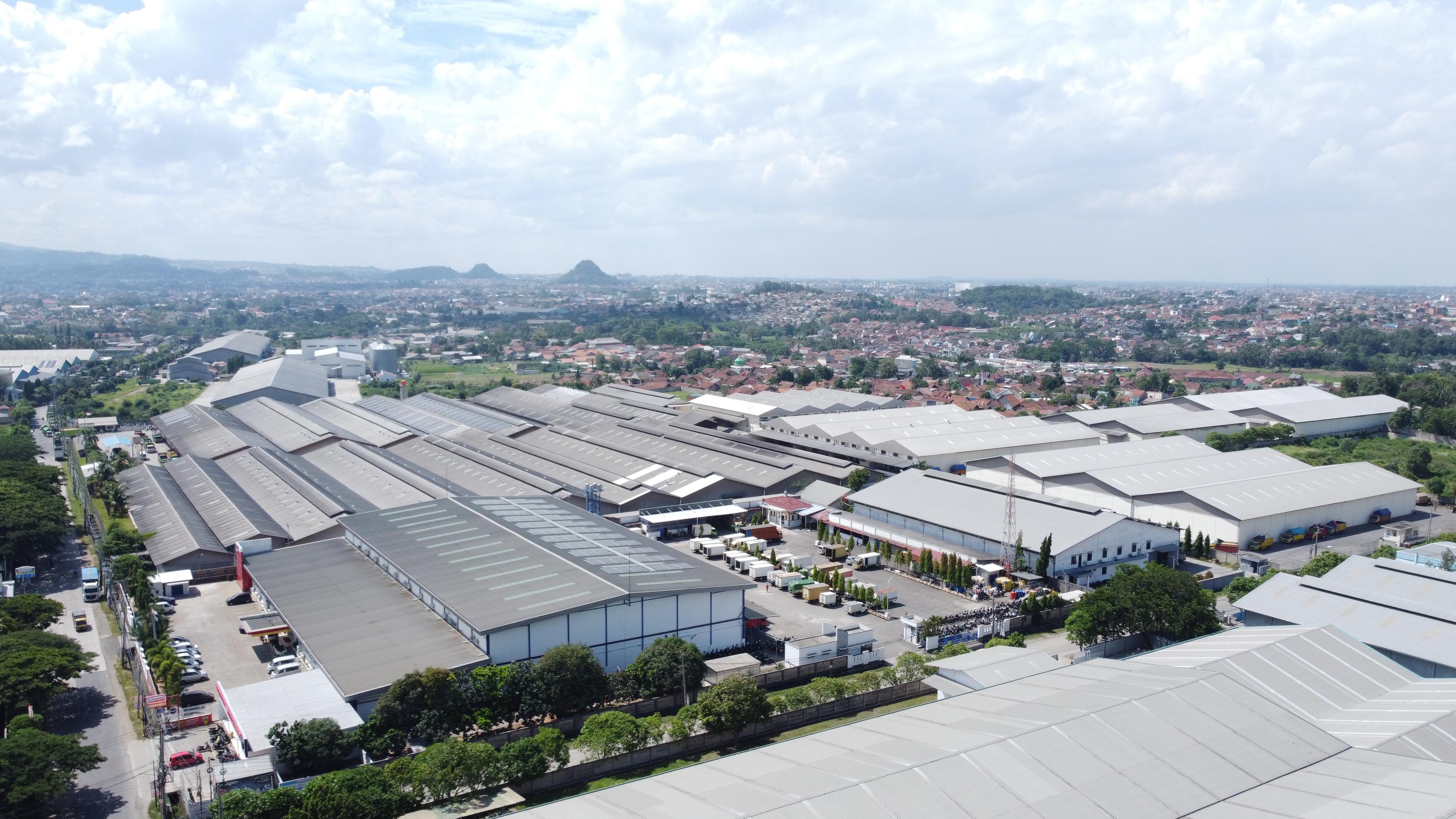 Glowing flowers in a pot
